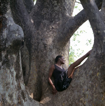 Colomba Leddi